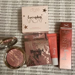 NEVER USED BRAND NAME blush , setting powder and glossy cheek tint !